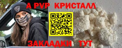 стафф Славгород